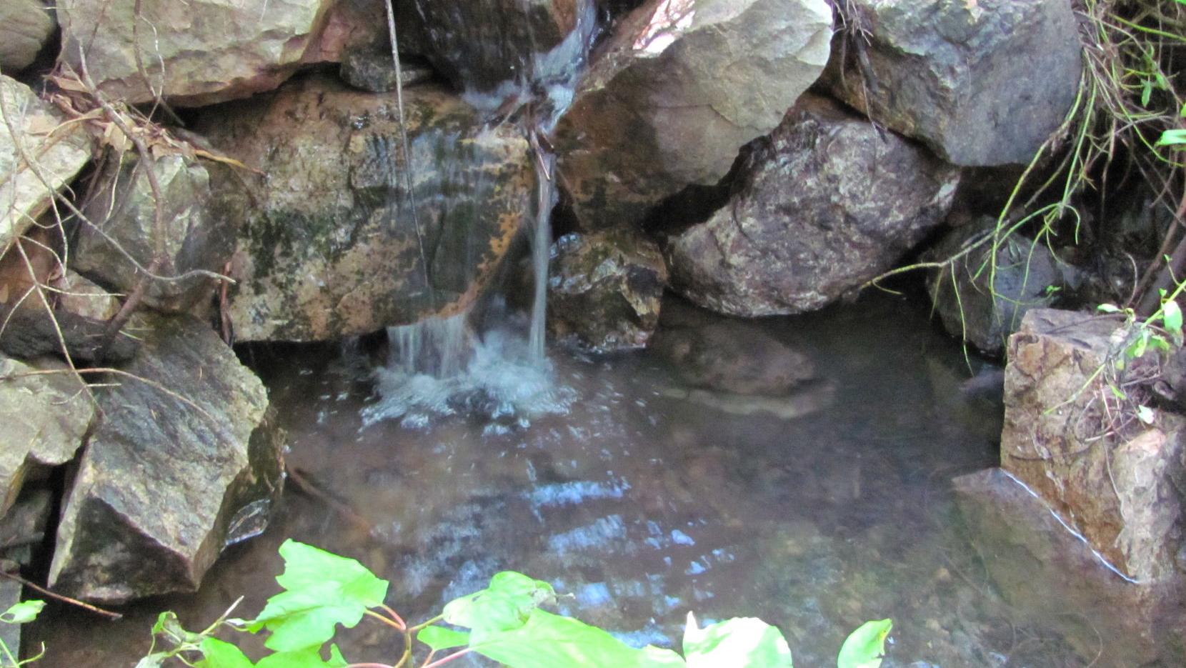 Critical water tanks on Mount Lemmon are full, thanks to monsoon
